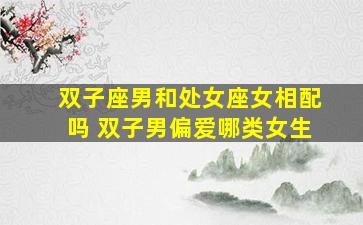 双子座男和处女座女相配吗 双子男偏爱哪类女生